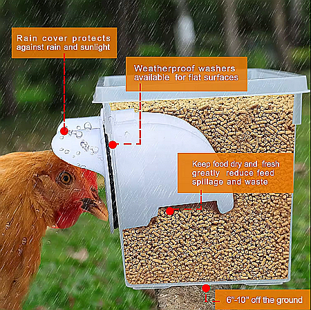 Hrănitoare albă de tip acces-în-butoi (cu montaj pe direct butoi), pentru păsări [1]