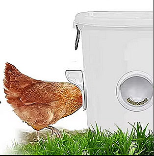 Hrănitoare albă de tip acces-în-butoi (cu montaj pe direct butoi), pentru păsări [5]