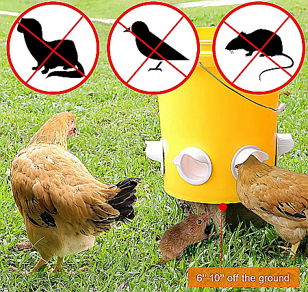 Hrănitoare albă de tip acces-în-butoi (cu montaj pe direct butoi), pentru păsări [10]