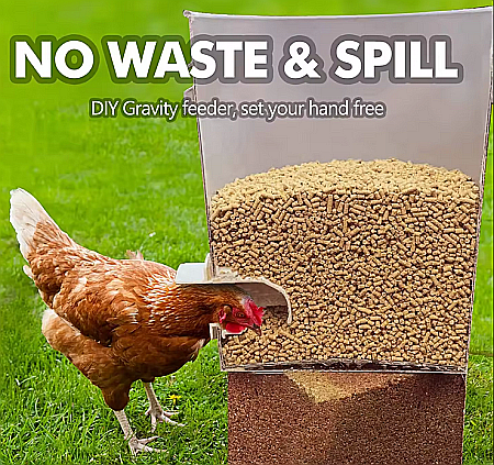 Hrănitoare albă de tip acces-în-butoi (cu montaj pe direct butoi), pentru păsări [6]