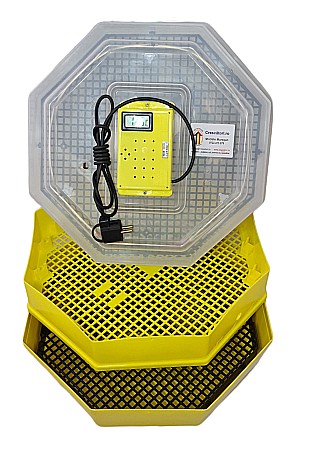Incubator Cleo 5ET - cu termostat reglabil, etaj şi termometru cu afişaj digital + CADOU Ghid de incubare premium + asistent incubare [2]