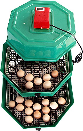 Incubator Cleo 5ETGP - cu termostat reglabil, etaj, termometru digital şi întoarcere semi-automată ouă de găină & prepeliţă + CADOU Ghid de incubare premium + asistent incubare [3]