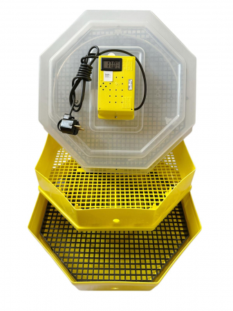 Incubatoare Cleo simple - Incubator Cleo 5ETH - cu etaj şi termohigrometru digital + CADOU Ghid de incubare premium + asistent incubare
