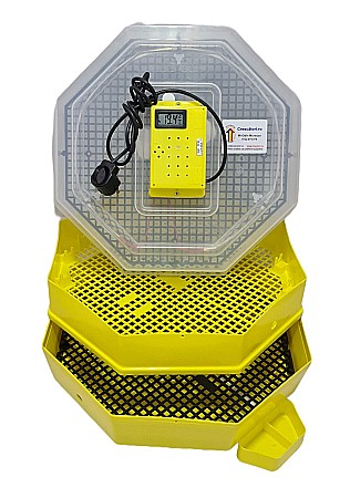 Incubatoare Cleo simple - Incubator Cleo 5ETHC - cu etaj, termohigrometru digital şi cupă exterioară pt. apă + CADOU Ghid de incubare premium + asistent incubare