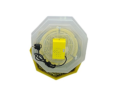 Incubator Cleo 5S - simplu (versiunea de bază), cu termostat reglabil + CADOU Ghid de incubare premium + asistent incubare [2]