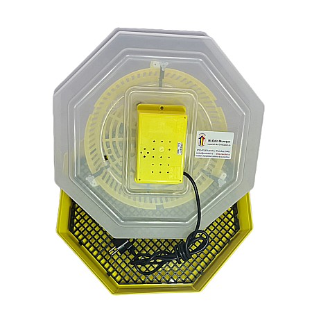 Incubatoare Cleo - Incubator Cleo 5S - simplu (versiunea de bază), cu termostat reglabil + CADOU Ghid de incubare premium + asistent incubare