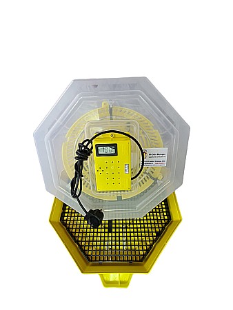 Incubatoare Cleo - Incubator Cleo 5TC - cu termostat reglabil, termometru digital şi cupă exterioară pt. apă + CADOU Ghid de incubare premium + asistent incubare