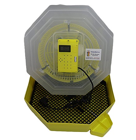 Incubator Cleo 5TC - cu termostat reglabil, termometru digital şi cupă exterioară pt. apă + CADOU Ghid de incubare premium + asistent incubare [1]