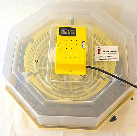 Incubator Cleo 5TGH - cu termohigrometru digital şi întoarcere semi-automată ouă de găină + CADOU Ghid de incubare premium + asistent incubare [8]