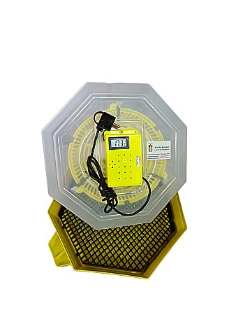 Incubatoare Cleo simple - Incubator Cleo 5THC - cu termostat reglabil, termohigrometru digital şi cupă exterioară pt. apă + CADOU Ghid de incubare premium + asistent incubare