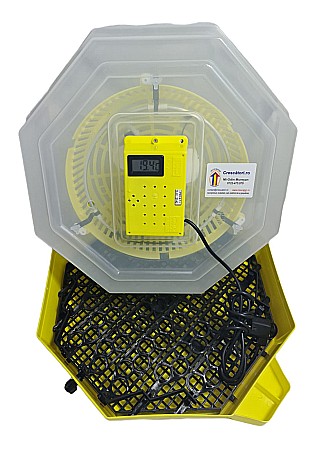 Incubatoare Cleo semi-automate - Incubator Cleo 5TPC - cu termostat reglabil, termometru digital, întoarcere semi-automată ouă de prepeliţă şi cupă exterioară pt. apă + CADOU Ghid de incubare premium + asistent incubare
