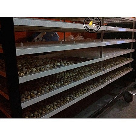 Incubator profesional (industrial) automatizat IP-6D (9.000 lei) (ouă: 2.112 găină, 5.304 prepeliţă, 1.512 raţă/curcă, 768 gâscă) Transportul nu este inclus! [4]