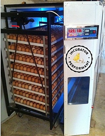 Incubator profesional (industrial)  automatizat IP-7D (9.800 lei) (ouă: 2.464 găină, 6.188 prepeliţă, 1.764 raţă/curcă, 896 gâscă) Transportul nu este inclus!
