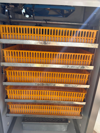 Incubator automat semi-profesional IE-440 capacitate mare controller digital intoarcere oua pe lant [2]