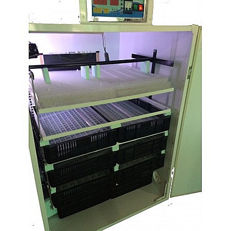 Incubator semiprofesional automatizat IP-5 (5.000 lei) (ouă: 880 găină, 2.210 prepeliţă, 630 raţă/curcă, 320 gâscă) Transportul nu este inclus!