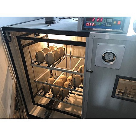 Incubator semiprofesional automatizat pentru ouă de struţ, model IP-S-90 (12.000lei) Transportul nu este inclus! [1]
