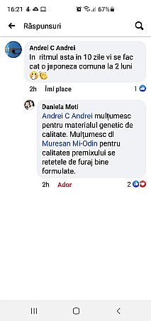 Pmx-P Macropremix pentru prepeliţe [11]