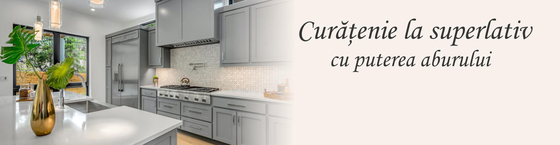 Aparate cu abur