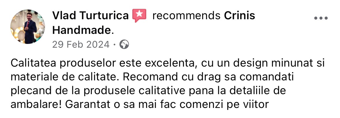 Recenzie Vlad Turturica
