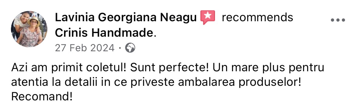 Recenzie Lavinia Georgiana Neagu