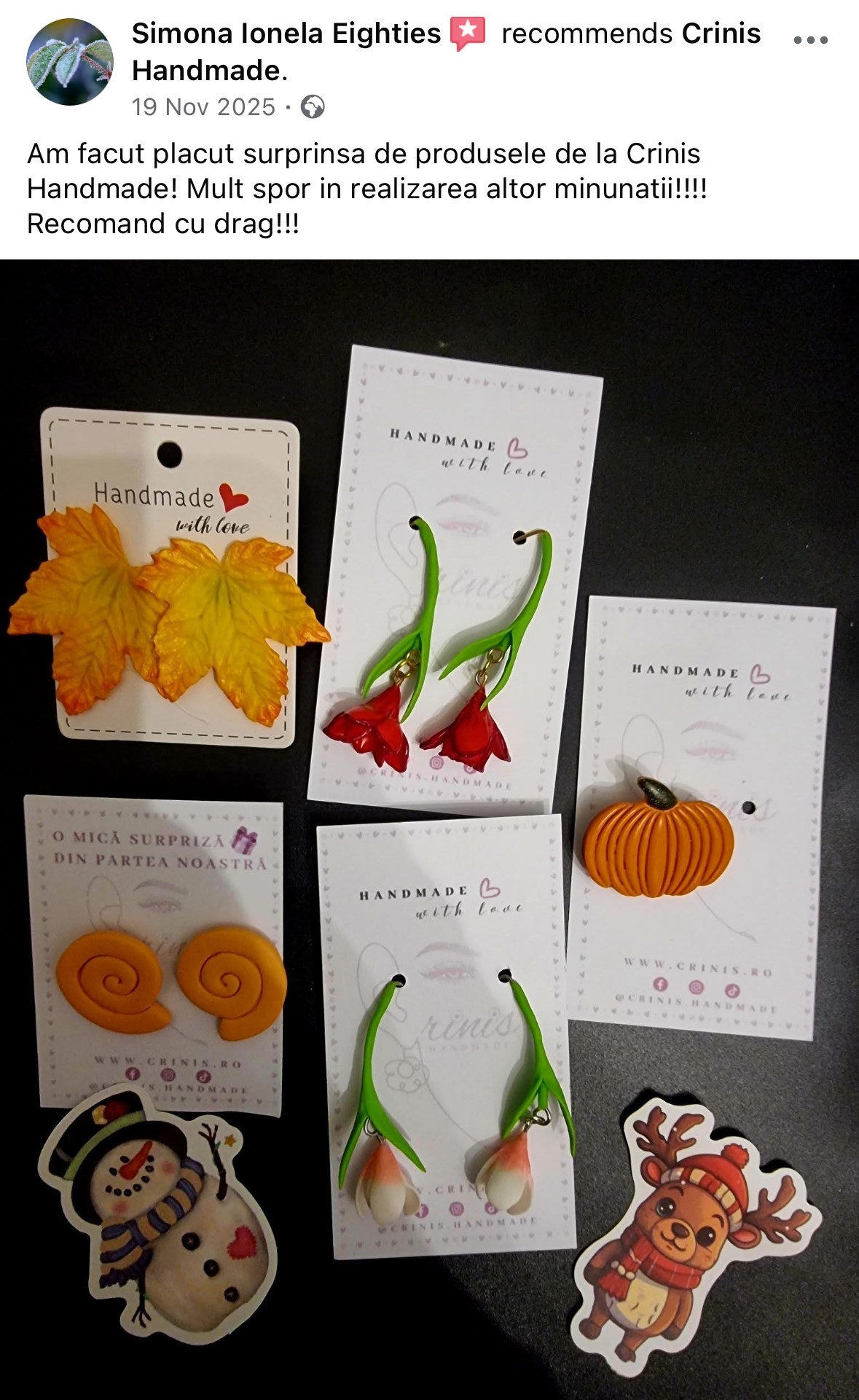 Recenzie Simona Ionela