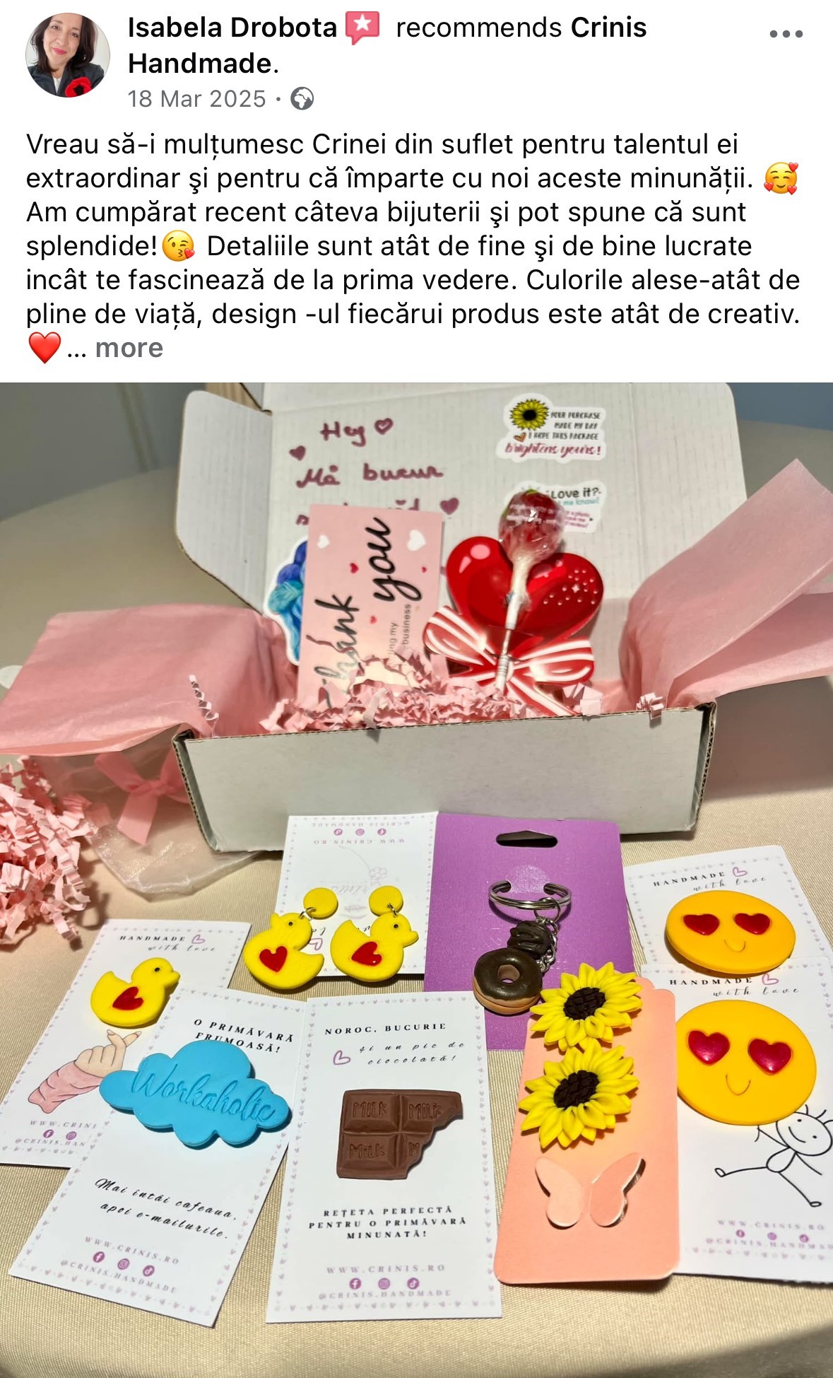 Recenzie Isabela Drobota