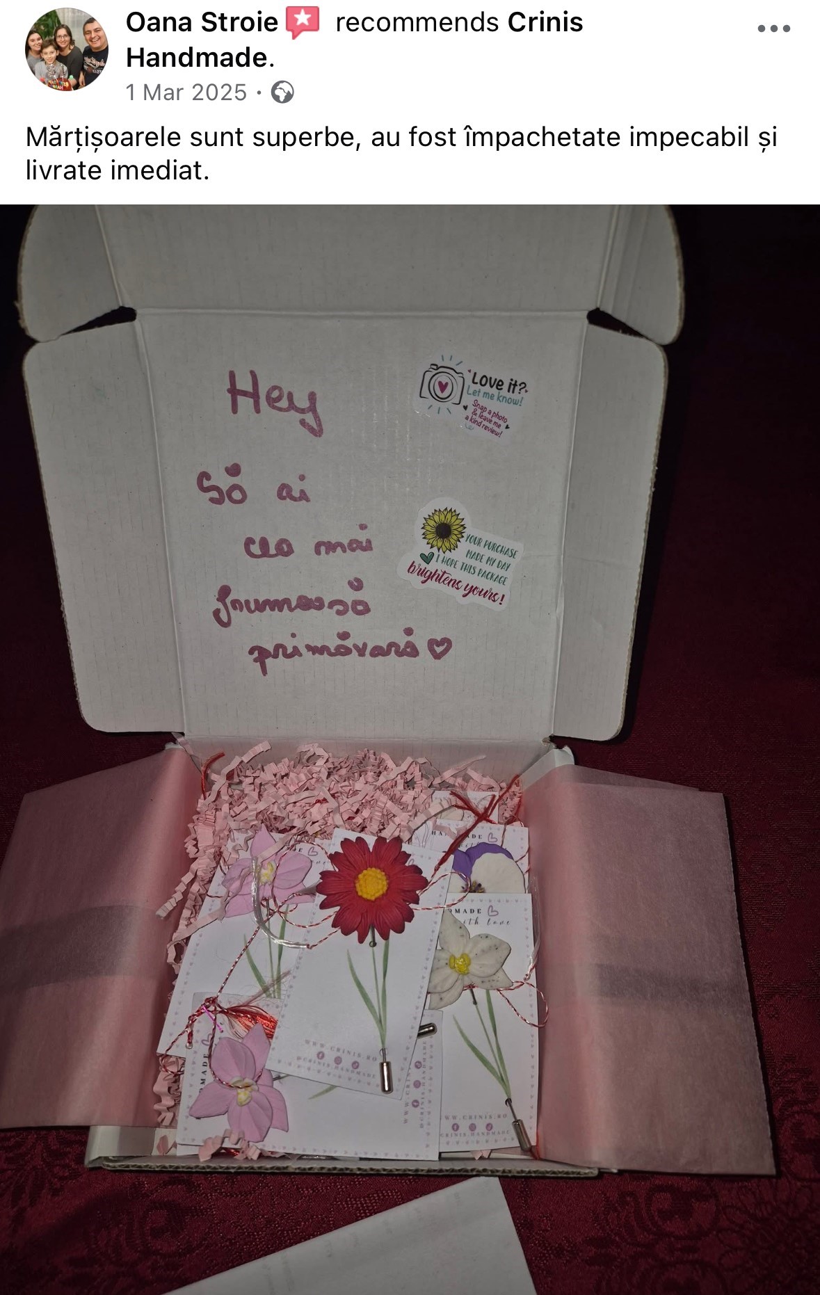 Recenzie Oana Stroie