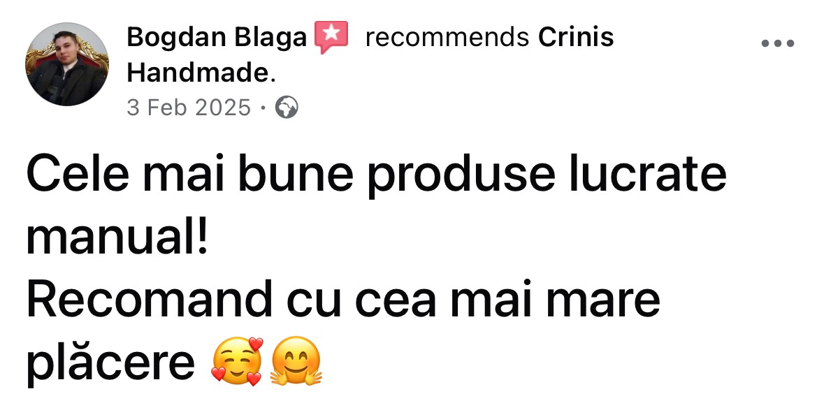Recenzie Bogdan Blaga