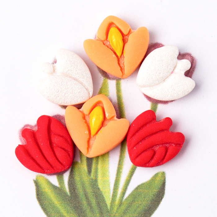 Cercei - Set Lalele Colorate [2]