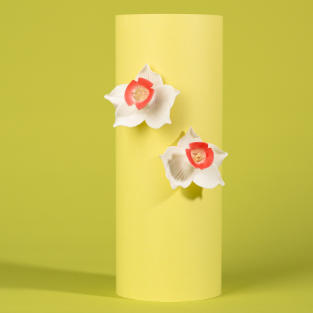 Primavara - Cercei Narcisa albi cu design elegant