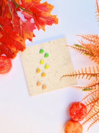 Cercei Studs - Cercei Mini Fallstera tropicali și colorați