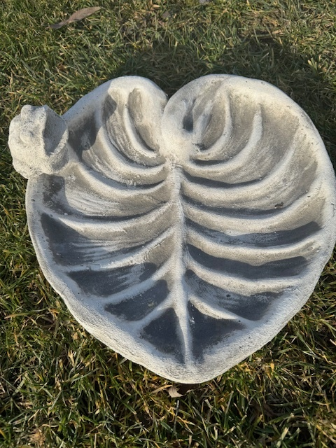 Adapator Pasari Frunza [3]