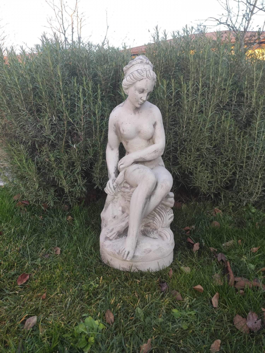 Amore Di Falconet [3]