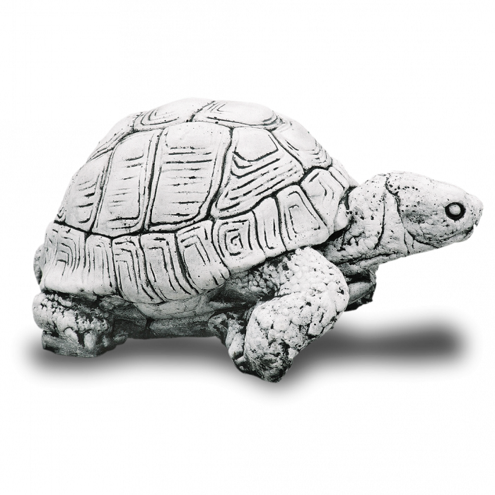 Broasca Testoasa [1]