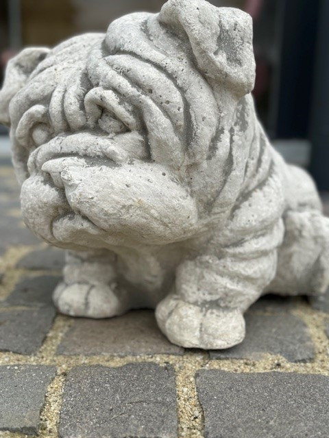Bulldog [3]