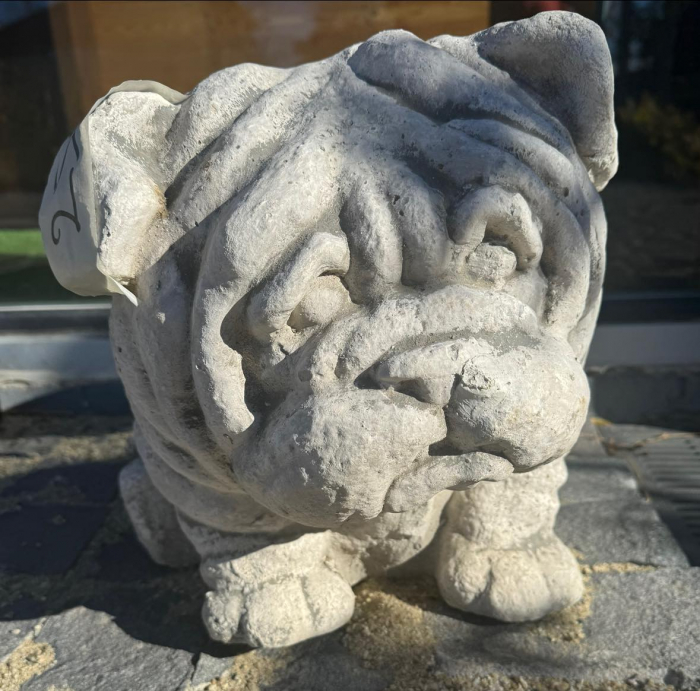 Bulldog [5]
