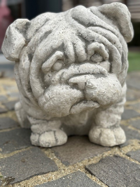 Bulldog [4]