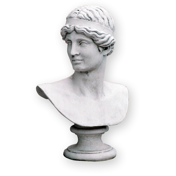 Bust Apollo [1]