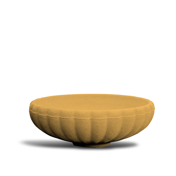 Ghiveci Flori Coupe Margarite D60 Galben Gri Negru [2]