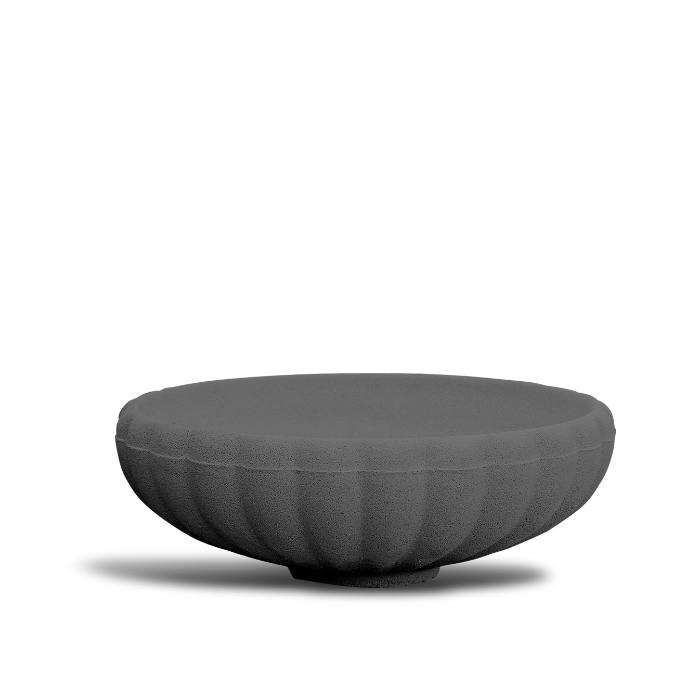 Ghiveci Flori Coupe Margarite D60 Galben Gri Negru [3]