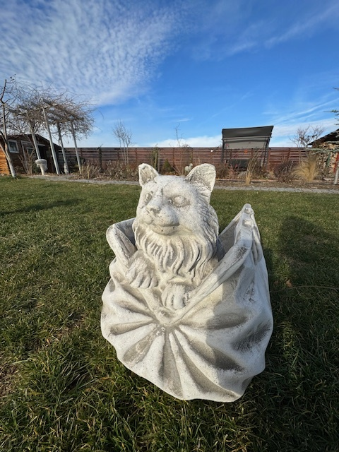 Ghiveci Poseta cu Pisica [2]