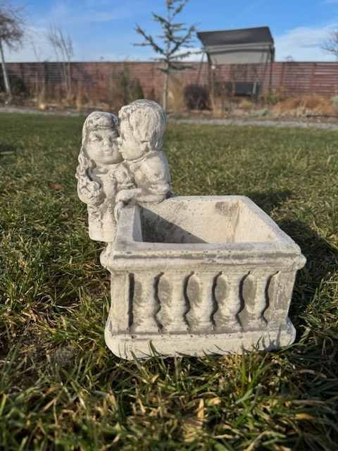 Ghiveci Suculente Amorini [4]