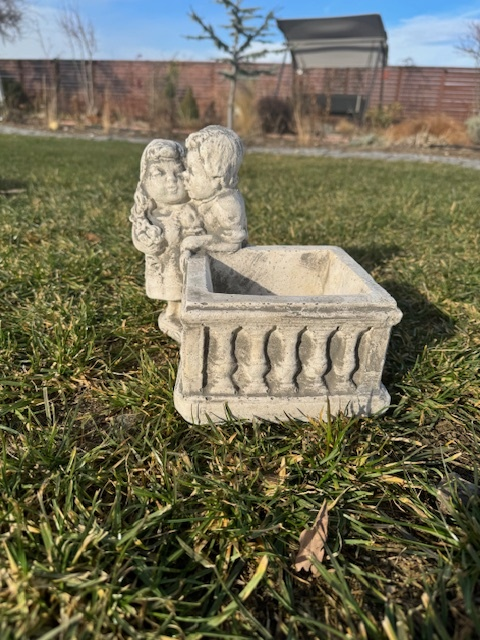 Ghiveci Suculente Amorini [2]