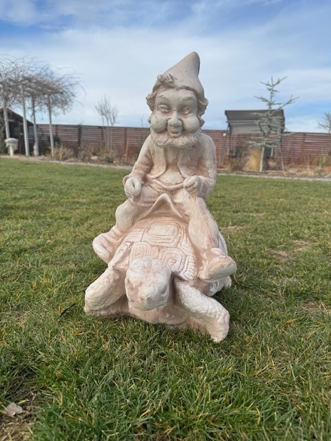 Pitic Bavarez pe Testoasa [3]