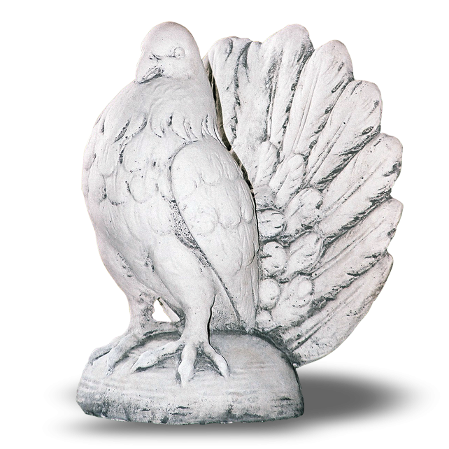 Porumbel cu Coada [1]