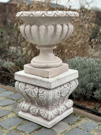 Pachete - Baza si Ghiveci Pompei Grande