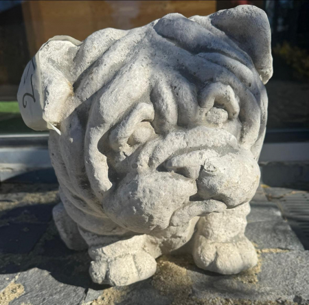 Bulldog [4]