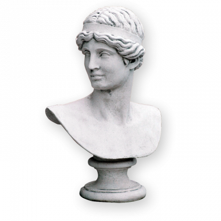 Busturi si Piedestale - Bust Apollo
