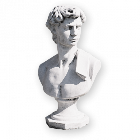 Busturi si Piedestale - Bust David