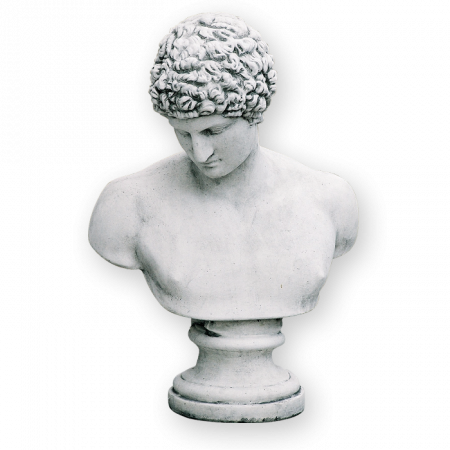 Busturi si Piedestale - Bust Hermes